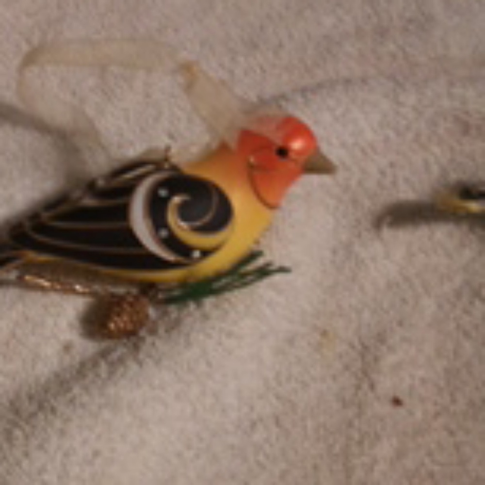 Bird wall hangings